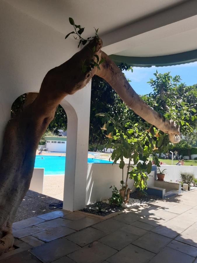 Apartamento Da Avo Te - Em Frente A Praia C Piscina Portimão Exterior foto